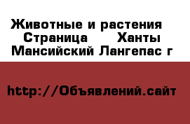  Животные и растения - Страница 10 . Ханты-Мансийский,Лангепас г.